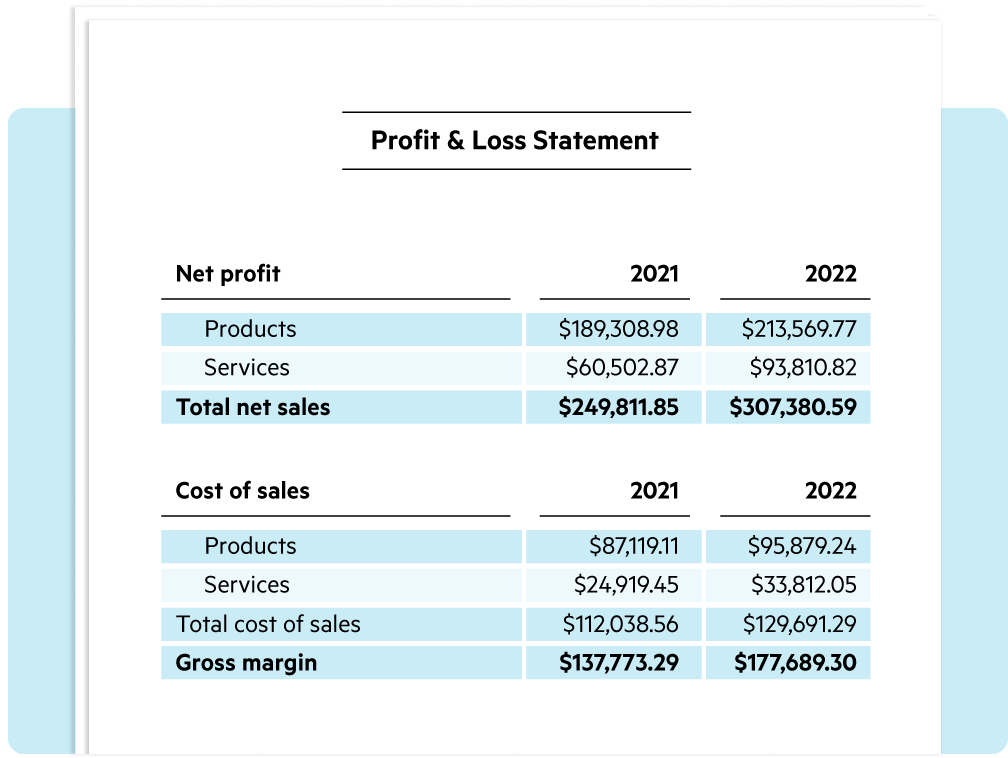 A profit and loss statement example